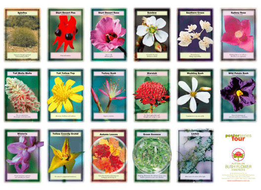 Miscela Api 10g Miscela Semi Prato Fiorito Per Api, 13000 Semi In - Foto 9