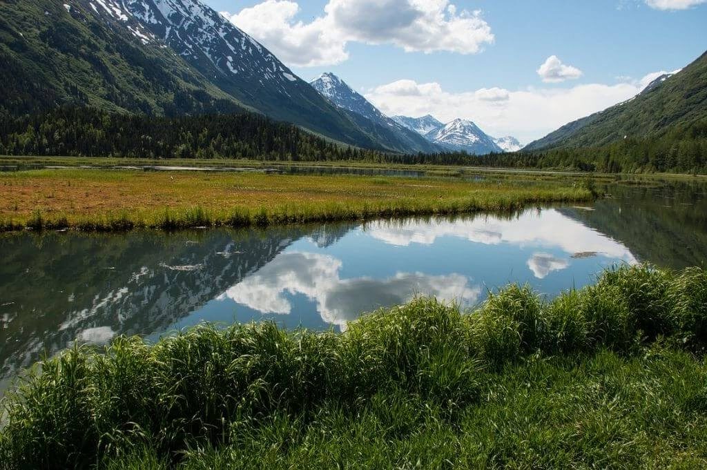 L'ambiente dell'Alaska dove si raccolgono le essenze