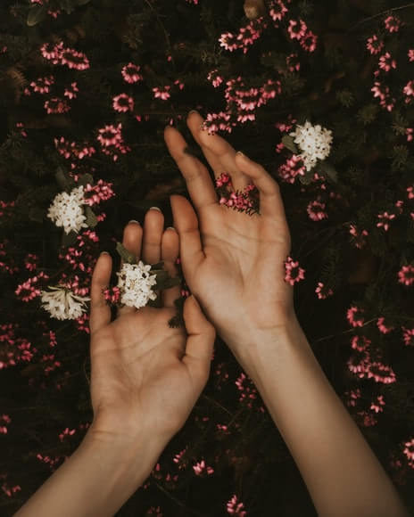 mani tra i fiori per l'articolo "La Floriterapia funziona?"