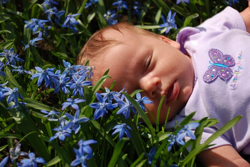 Bambino che dorme tra i fiori