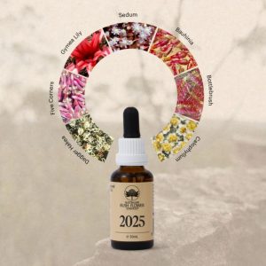 Australian bushflowers 2025
